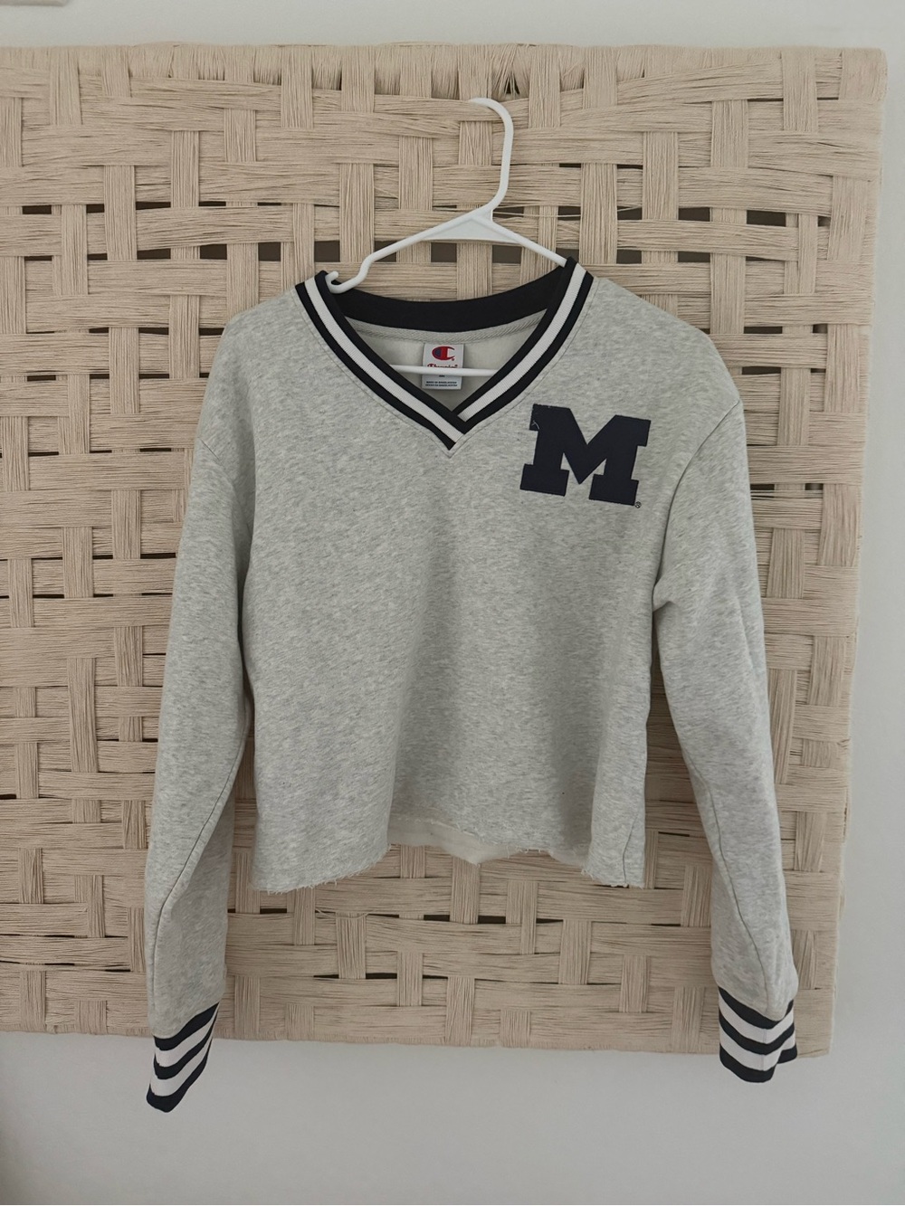 Michigan Champion Gray V-Neck Cropped Sweater